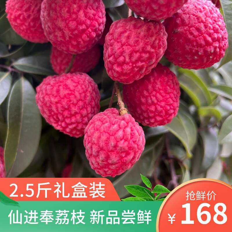 【2025新季】增城仙进奉荔枝 肉厚核小 自然熟甜 礼盒装2.5斤 2.5斤礼盒装（带软枝）